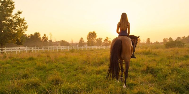 Touch of Chrome Trail Rides: A Guided Private Experience<br />
