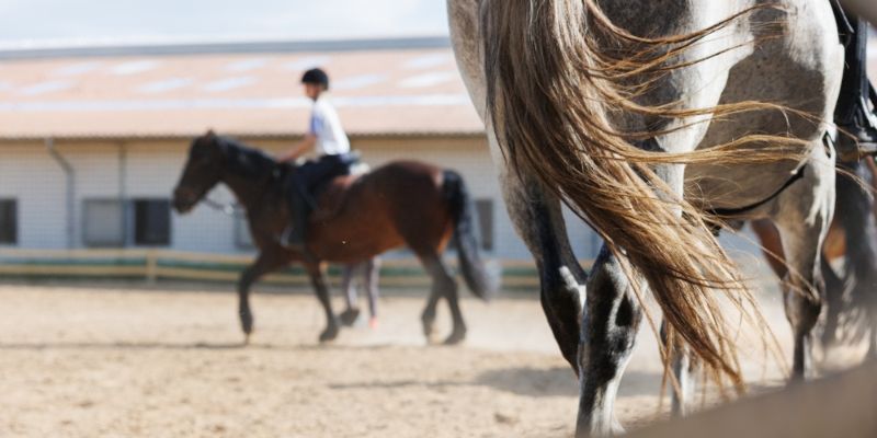 Can Horseback Riding Be Your Main Workout