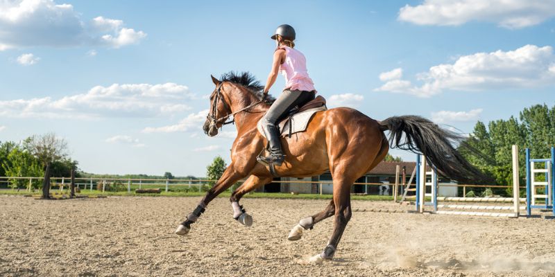 Muscles Worked While Riding A Horse