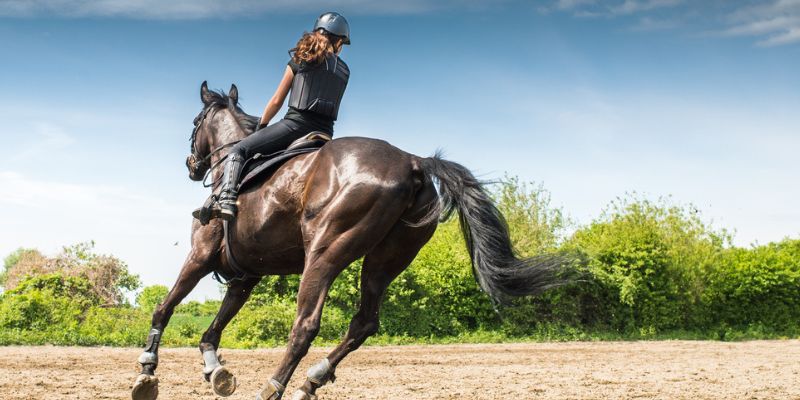 What Kind of Exercise is Horseback Riding? What Kind Of Exercise Is Horseback Riding