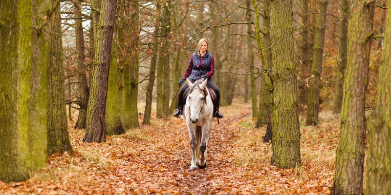 What Not To Wear For Your Fall Horse Ride