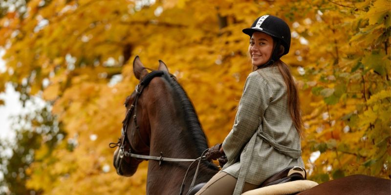 Crisp Air Colorful Foliage
