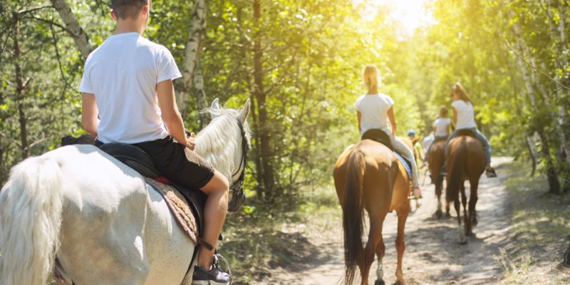 Long Daylight Lake Breezes