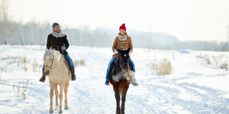 Quiet Paths Clear Views