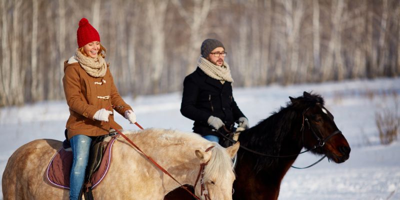 How Cold Is Too Cold for Horses to Ride?