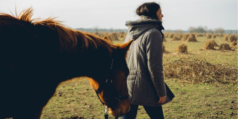 Tips for Riding Horses in Cold Weather