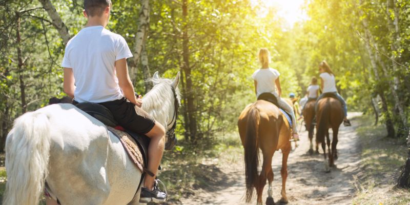 Hourly Trail Rides Services