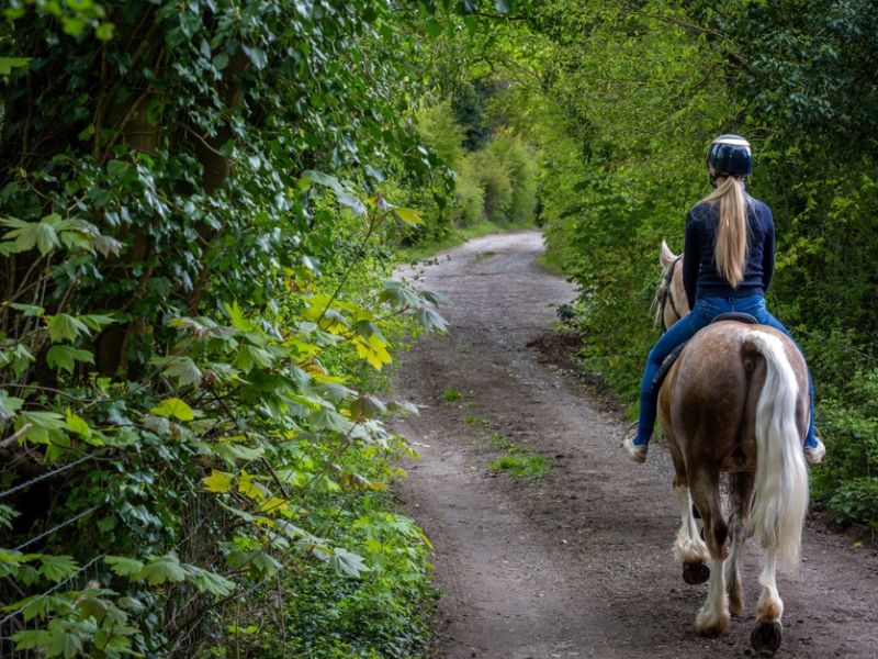 Horseback Riding In Fort Worth Guests Can Enjoy With Confidence