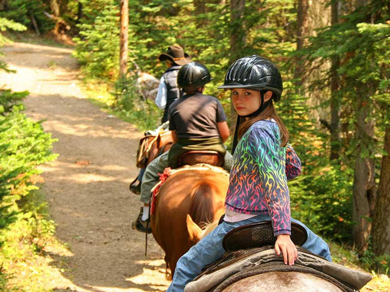 Horse trail rides<br />
