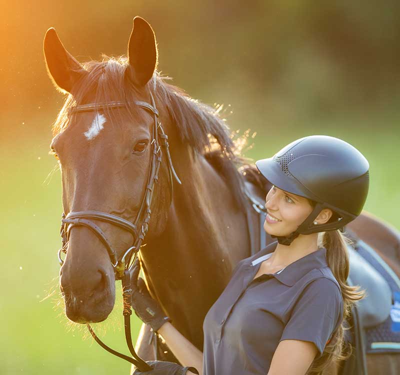 Assess the Horse's Body Language