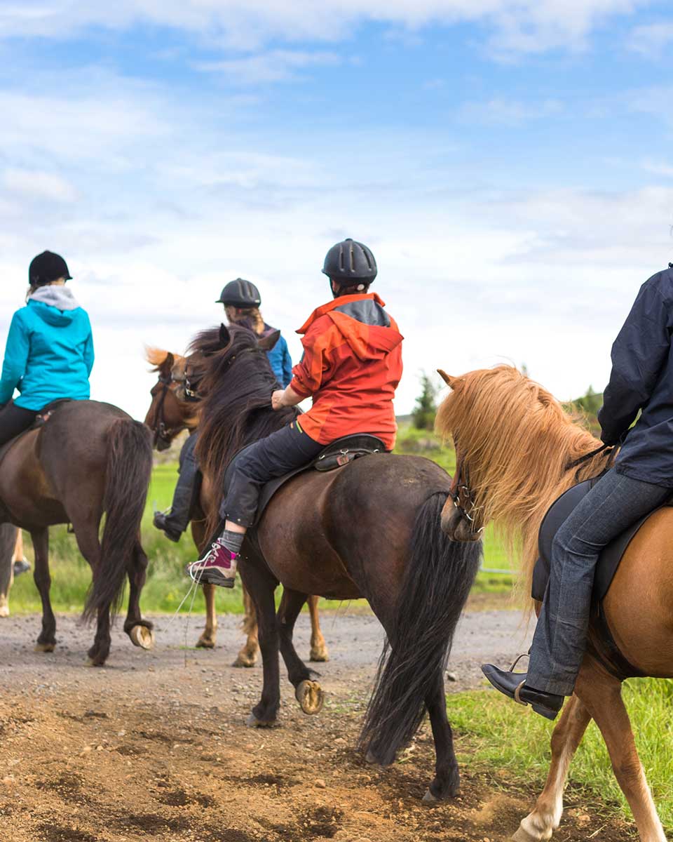 10 Trail Riding Etiquette & Safety Rules