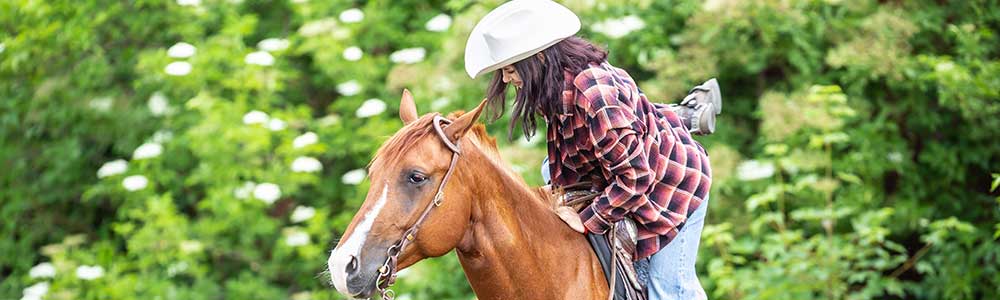 Dismounting a Horse<br />
