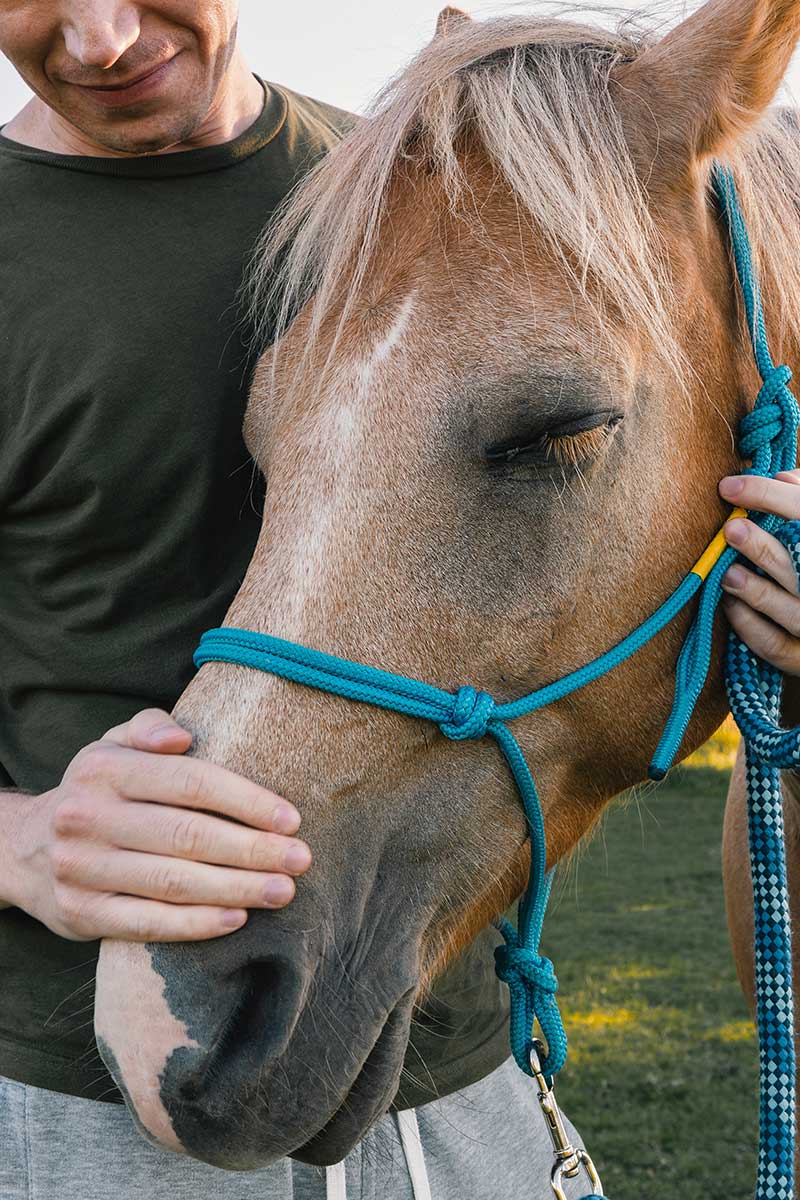 Ensuring a Safe Horse Riding Experience!