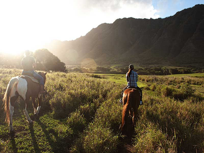 Magical Horseback Ride to The Sunset<br />
