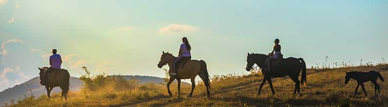 5 Fun Benbrook Lake Activities for All Ages!