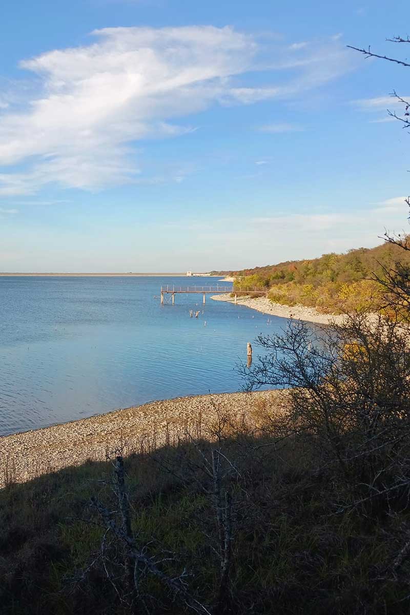 The Best Horseback Riding Experience At Benbrook Lake