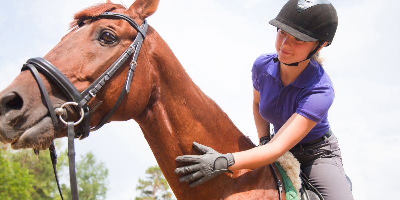 Be Aware of The Horse's Body Language