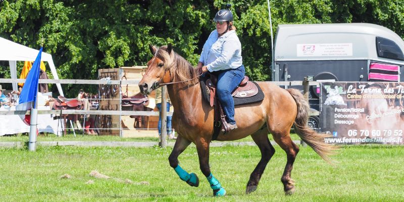 Finding a Suitable Horse for Each Rider