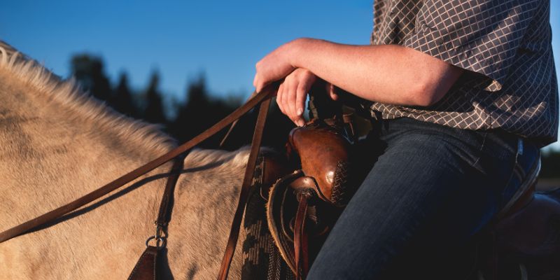Refrain From Holding Onto The Saddle Horn<br />
