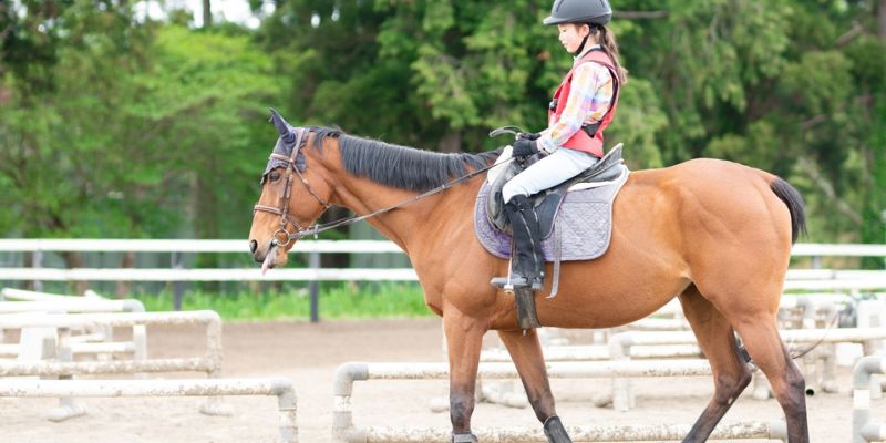 Dress for Success Summer Riding Gear and Essentials Dress for Success: Summer Riding Gear and Essentials<br />