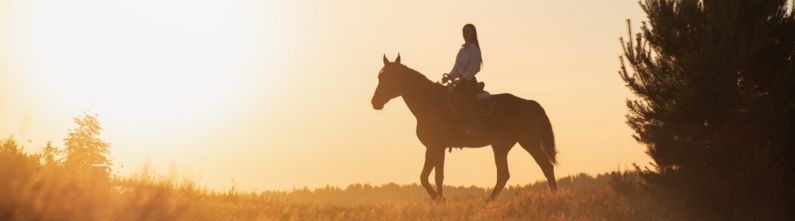 Sunset Trail Rides: A Unique Outdoor Summer Experience