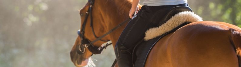 10 Benefits of Horseback Riding That Will Surprise You