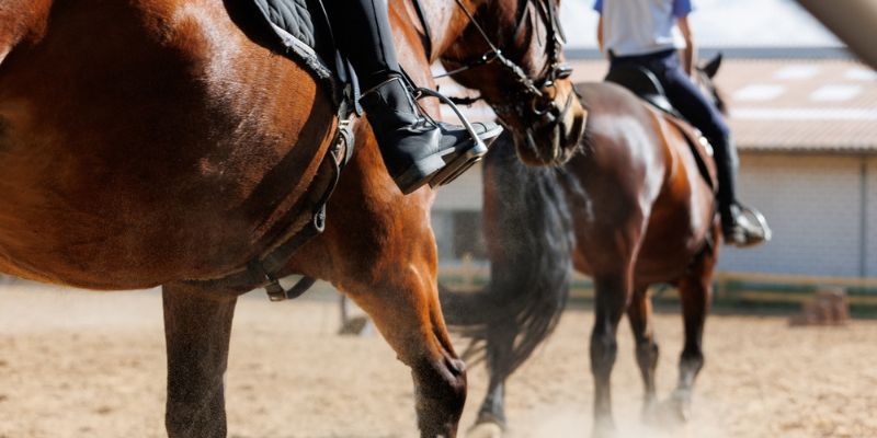 Is Horseback Riding Exercise