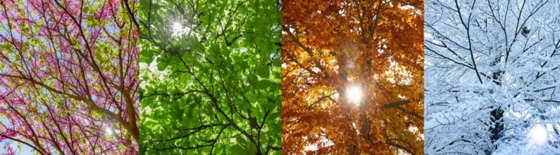 The Best Season for Horseback Trail Riding: A Comparison Guide