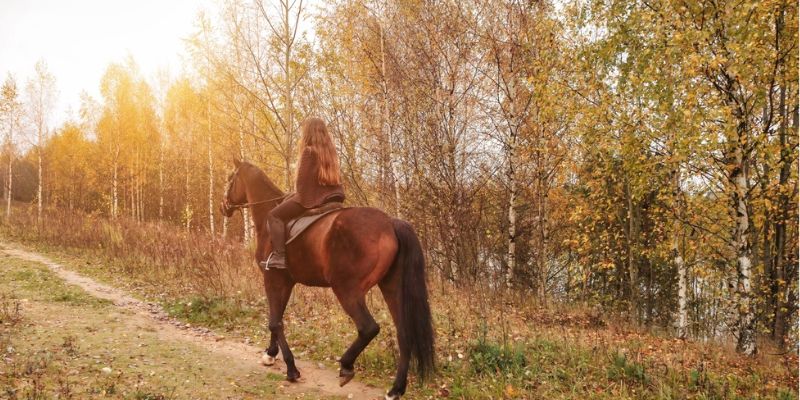 Horseback Riding in Autumn Season: Fall Trail Rides in Fort Worth